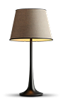 Pendant Lamps